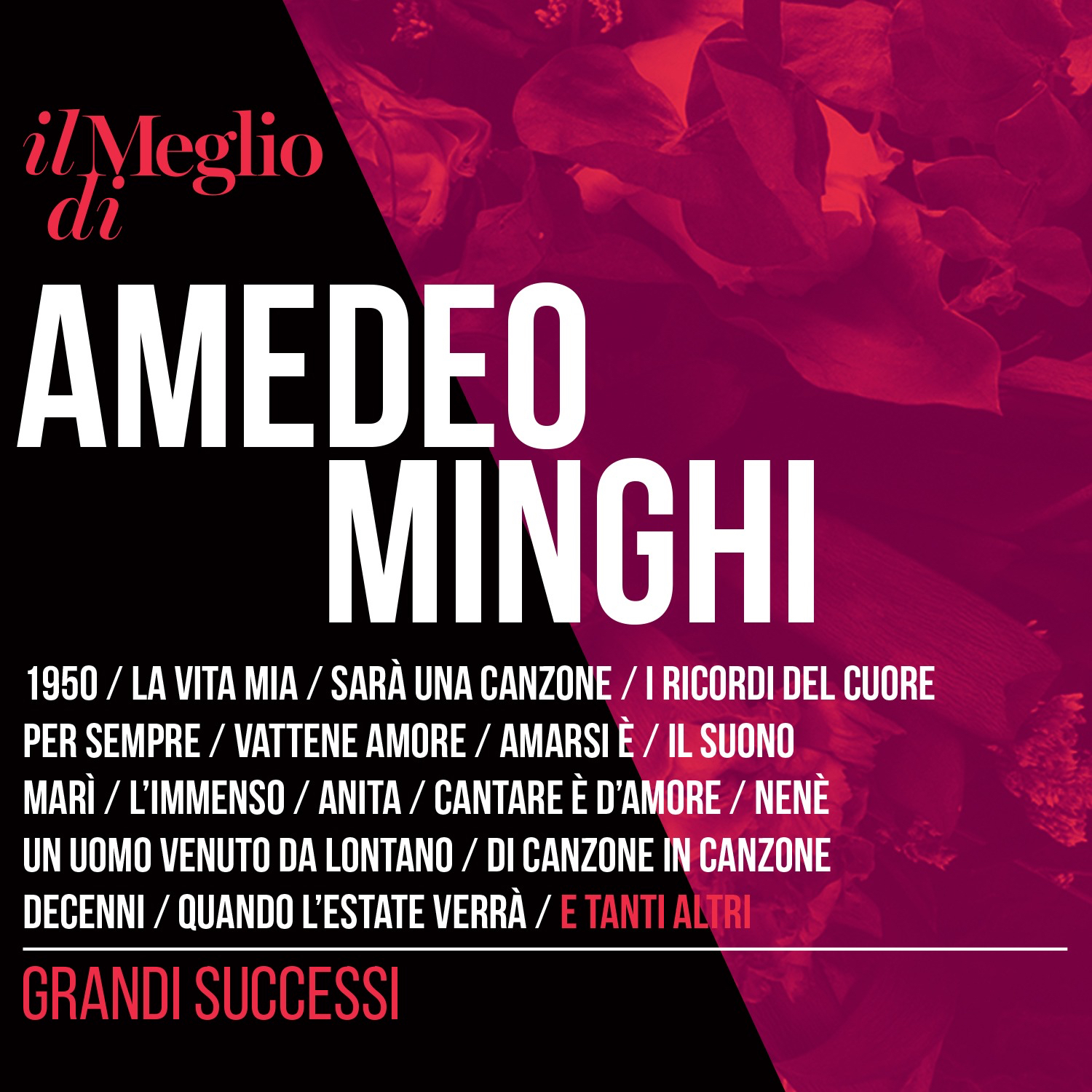 Amedeo Minghi