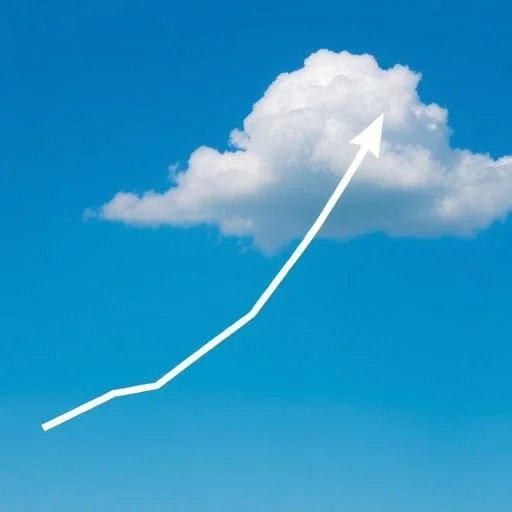 imagine_reprezentativa_5607