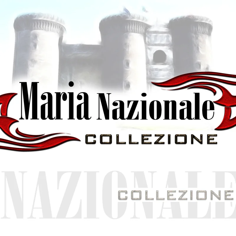 Maria Nazionale